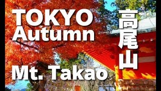 preview picture of video 'TOKYO JAPAN 秋の高尾山の紅葉ハイキング 　Autumn in Mt. Takao （Listed in the Michelin Guides） 東京観光 日本の紅葉'