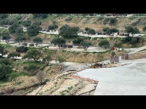 Beautiful Rainy Day at the Shelter With Shari Playing Happy! - Takis Shelter
