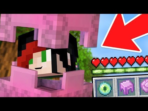 MI FINGO UNO SHULKER!! SCHERZO al FAN - Minecraft ITA SERVER