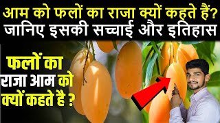 आम को फलों का राजा क्यों कहा जाता है? जानिए इसकी सच्चाई और इतिहास.........TrainYourBrain