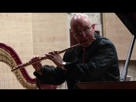 @ionbogdanstefanescu  Stan Golestan - Sonatine