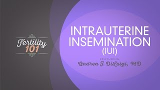 About Intrauterine Insemination (IUI)