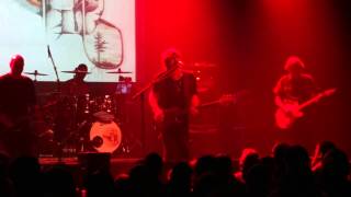 CHAMELEONS VOX A Person Isn&#39;t Safe Anywhere These Days 27 MAy 2015 Leuven