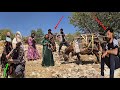 Zahra S Nomadic Family S Efforts To Collect Firewood In The Dangerous Mountains
