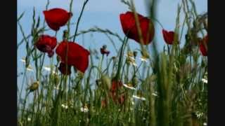 Refrain des chevaux de bois à l'accordéon