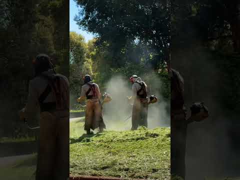 grupo de parquisacion municipalidad de Comandante Andresito misiones. dirigido por RCR.