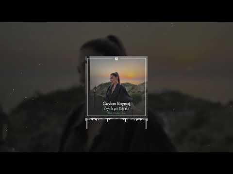 Ayrılığın Kitabı - Ceylan Koynat ( Prod. EMİL SAFAROV )