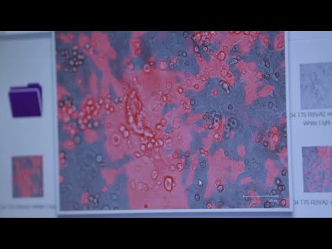 NYC COVID–19 Cases Rising