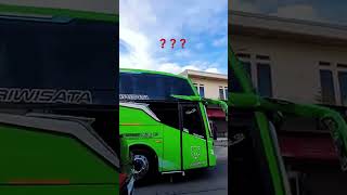 Download lagu Berapa ya  ⁉️ #bisbasuri #basuri #buspariwisata #funny #funnyvideo #fyp mp3