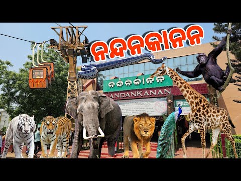 Nandankanan (ନନ୍ଦନକାନନ) | Bhubaneswar Tourist Places | #odiavlog #nandankanan #bhubaneswar