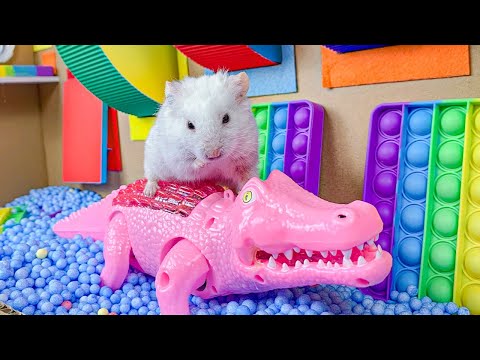 ???? Hamster Escape Maze - Hamster Cute pets Maze #hamsterescape #mazediytraps #hamsterescape #173