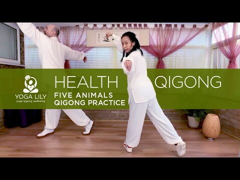 Five Animals Qigong Practice | Health Qigong