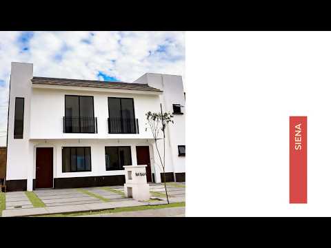 Video Siena