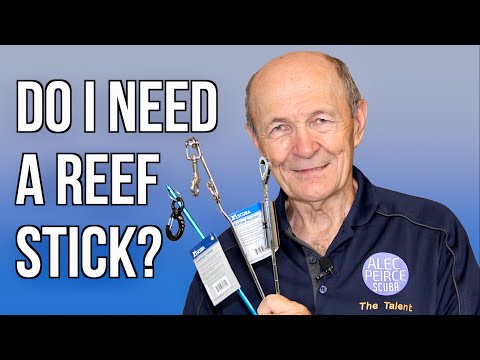 Do I Need A Reef Stick? | Scuba Tech Tips: S18E05