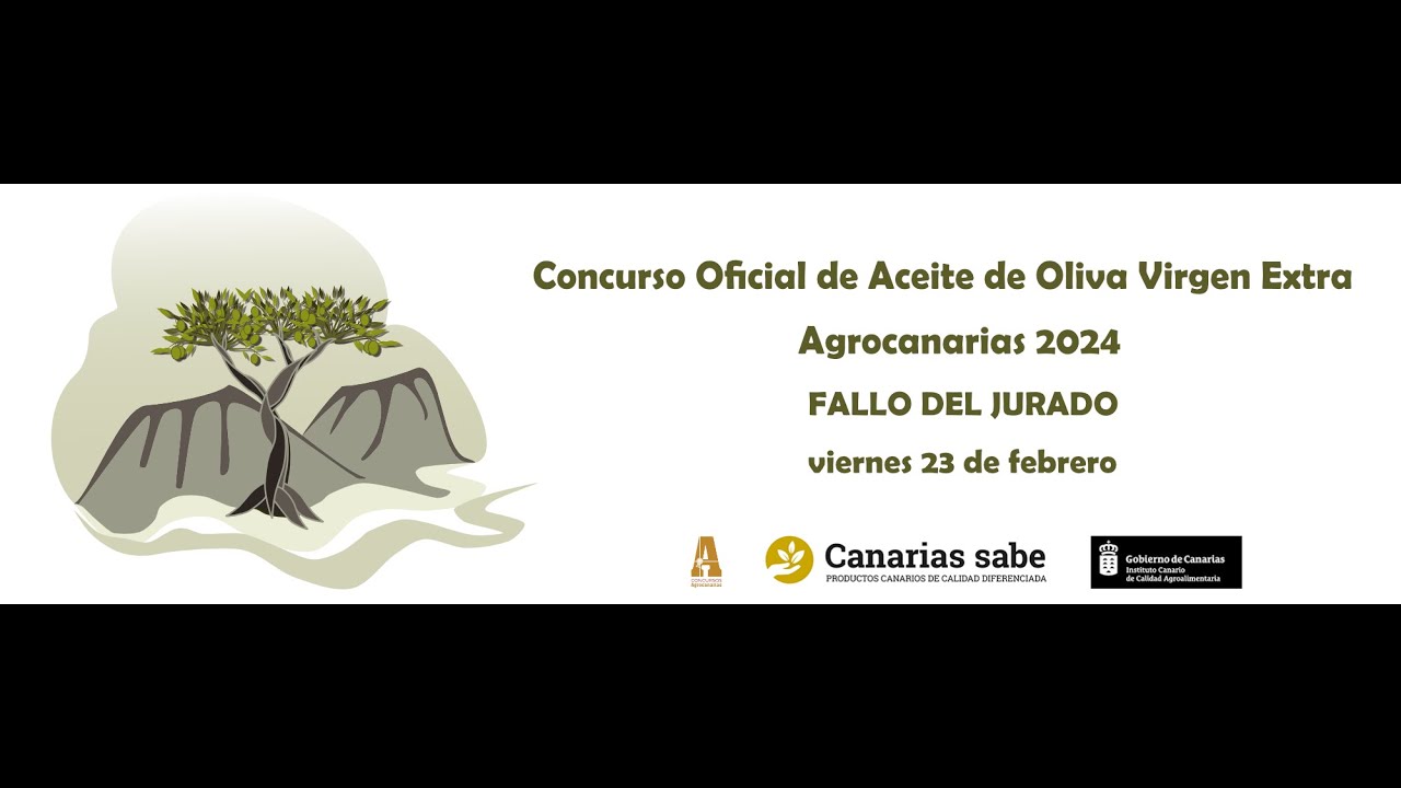 Fallo del jurado Concurso Oficial Aceites de Oliva Virgen Extra Agrocanarias 2024