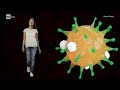 I Benefici Della Camminata Superquark 17 08 2022