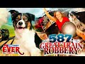 OLD 587 THE GREAT TRAIN ROBBERY Full FAMILY DOG Movie In ENGLISH