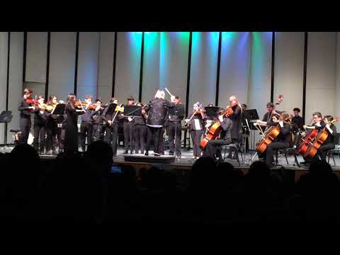 PVHS Chamber orchestra