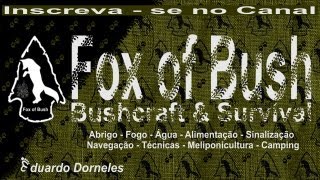 preview picture of video 'Fox of Bush - Corinto,MG'