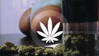 Linoskiii - Its not your fault