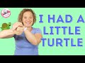 I Had A Little Turtle He Lived In A Box Preschool Rhyme With Motions Turtle Rhyme For Kids
