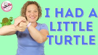 I Had A Little Turtle (He Lived In A Box) | Preschool Rhyme with Motions | Turtle Rhyme for Kids