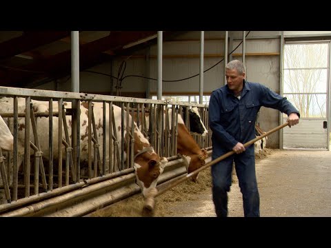 20 jaar naar de MKZ "Ik waard doe libbe"