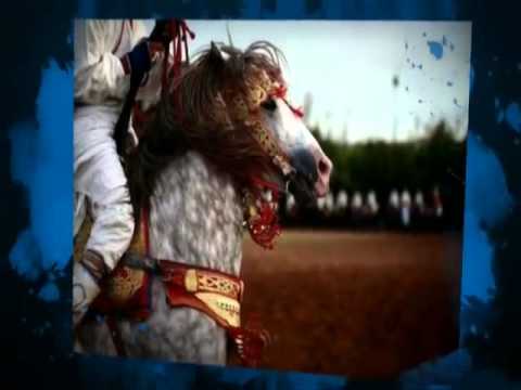 شعبي jarra hayha jadid chaabi 2013-2014