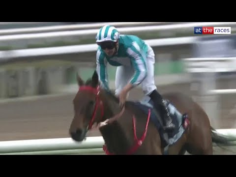 香港カップ（G1） 2024/12/8(日) | 日程・結果 | JRA-VAN World - 海外