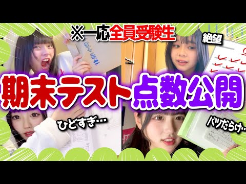 【抜き打ち！！】めるぷち受験生中3メンバーの最近のテストを抜き打ち調査してみた！！！📜