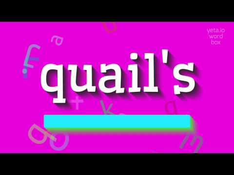 QUAIL'S - HOW TO PRONOUNCE QUAIL'S? #quail's