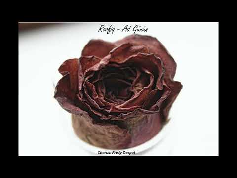 RooFiq ft Fredy - Ad günün