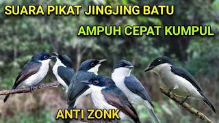 Download lagu SUARA PIKAT JINGJING BATU PALING AMPUH CEPAT KUMPUL mp3