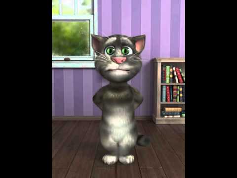 Talking Tom talking about neighbours
