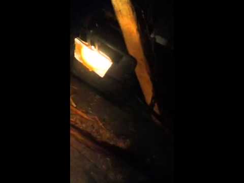 Squirrel trapping with 110 conibear