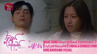 Mage Shine (මගෙ සිහිනේ වසන්තයේ.. ) || රුවැති සිතැත්ති || Sinhala Dubbed Song Korean Drama Visual