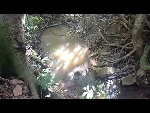 Vendo Chácara de 1.650M2 Em Cezarina Valor 55.000Ou entrada de 10.000  zap 62 981414270 