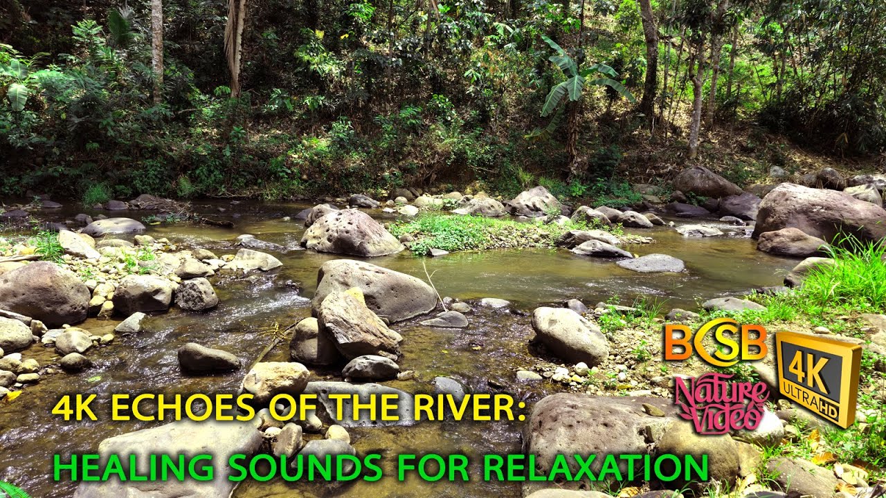 4K Echoes of the River: Healing Sounds for Relaxation | Ecos do Rio: Sons de Cura para Relaxamento