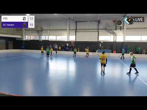 P11  VSS - SC HAWKS 15.1.2022