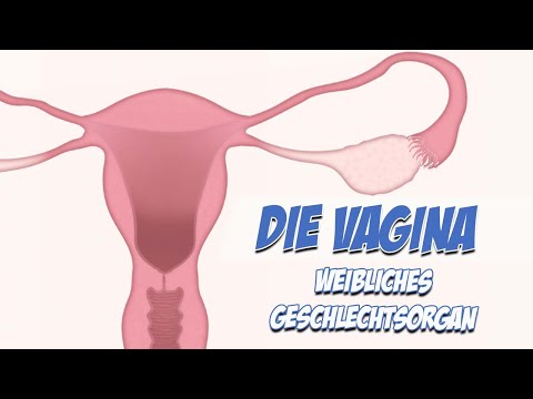 Female genital organ: Vagina | Anatomy | Care canal