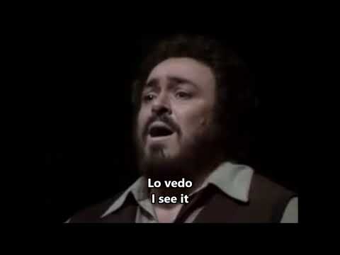 Luciano Pavarotti -  Una furtiva lagrima -  (sub: english) - Tribute