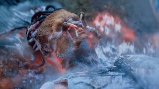 They Left Him To Die… Because He Was Weak (Predator: Badlands) 