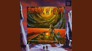 Cover art for sunshine of my life