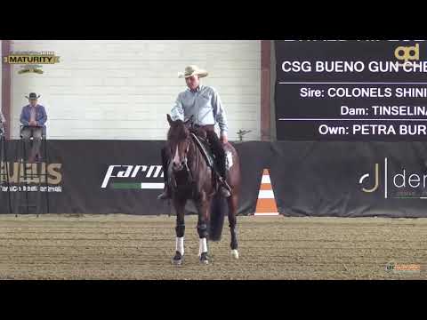 Maturity 2021 - EWALD RIFESER & CSG BUENO GUN CHEX score 213