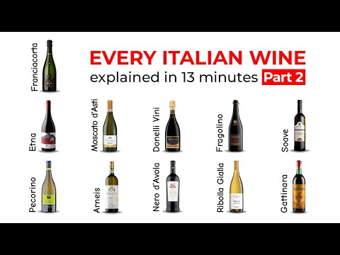 Every ITALIAN Wine Explained in 13 Minutes