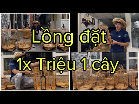 REVIEW LỒNG KHÁCH ĐẶT RIÊNG BÊN LỒNG CHIM VŨ MINH