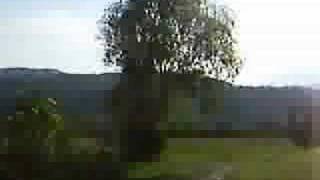 Living things - Bom Bom Bom