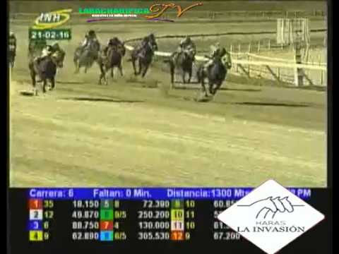 LA RINCONADA 6 CARRERA, DOMINGO 21 DE FEBRERO DEL 2016