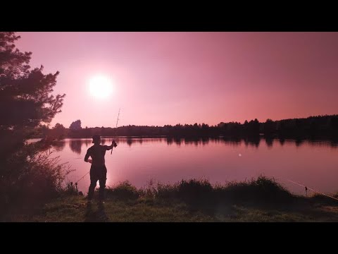 Karpfenangeln 2021 VTB09 Teil 1, Urlaub in Jarosławki  Outdoor, DJI, Camping, Carp, fishing, koi