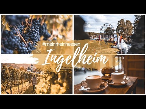 INGELHEIM AM RHEIN - Sehenswürdigkeiten, Rotweinfest, Essens- & Insider Tipps